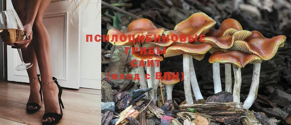 круглые Алексин