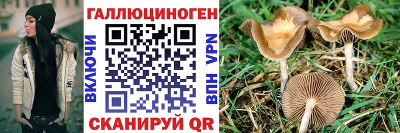 Галлюциногенные грибы мухоморы  закладка  Боготол 